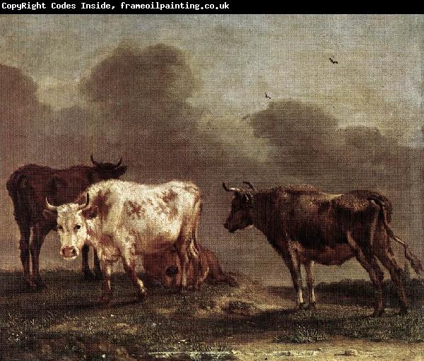 POTTER, Paulus Cows in a Meadow af